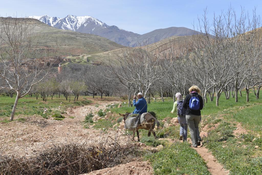 Maroc Lodge Atlas Mountain Retreat Amizmiz Экстерьер фото